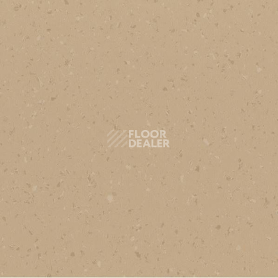 Линолеум Polyflor Palettone Pur Urban-Air-8646 Бежевый фото 1 | FLOORDEALER